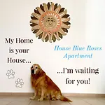 House Blue Roses Apartment Your Temptation In Puglia